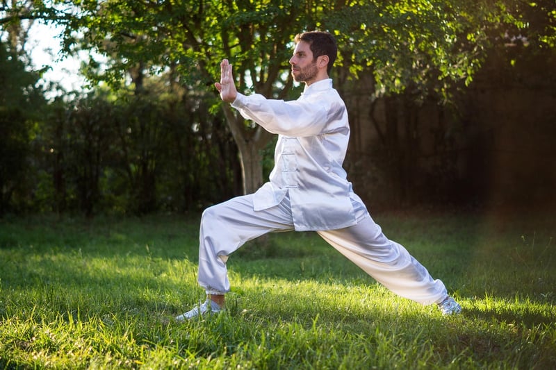 Tai Chi martial arts